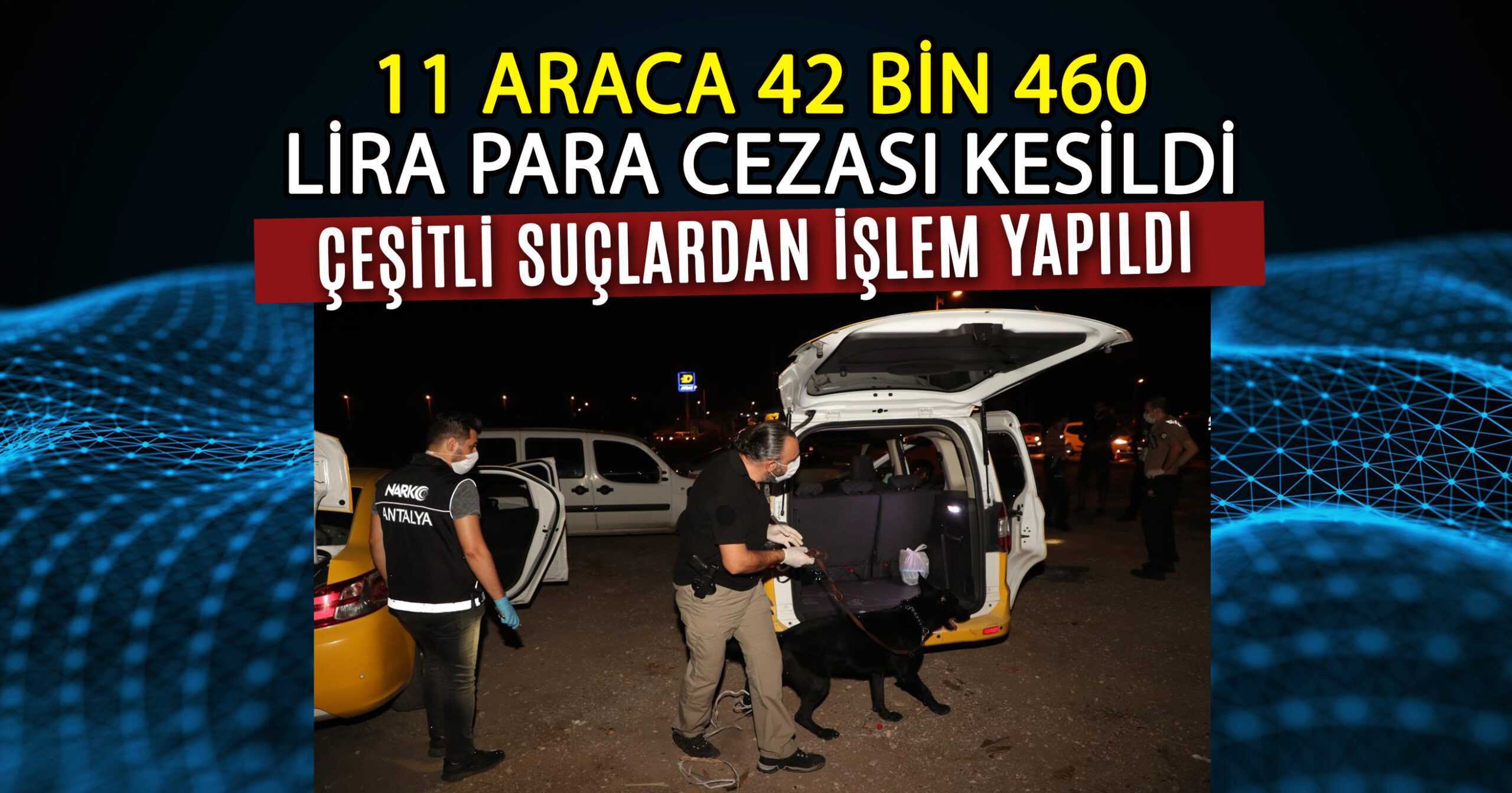 250 POLİSLE ŞOK NARKOTİK UYGULAMASI
