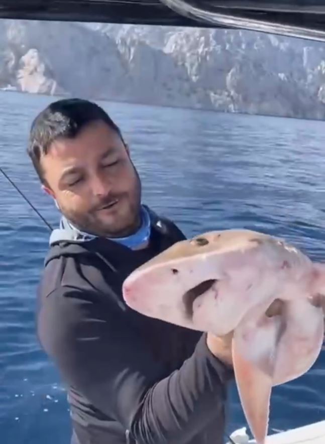 Balıkçıların oltasına 1,5 metrelik köpek balığı takıldı