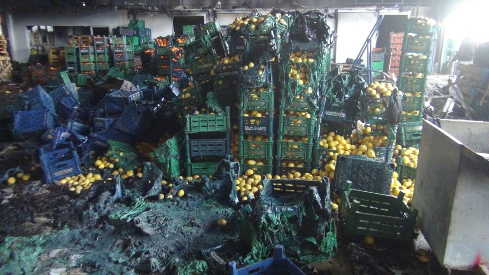 Antalya’daki yangında 350 ton sebze küle döndü, 6 milyon zarar var