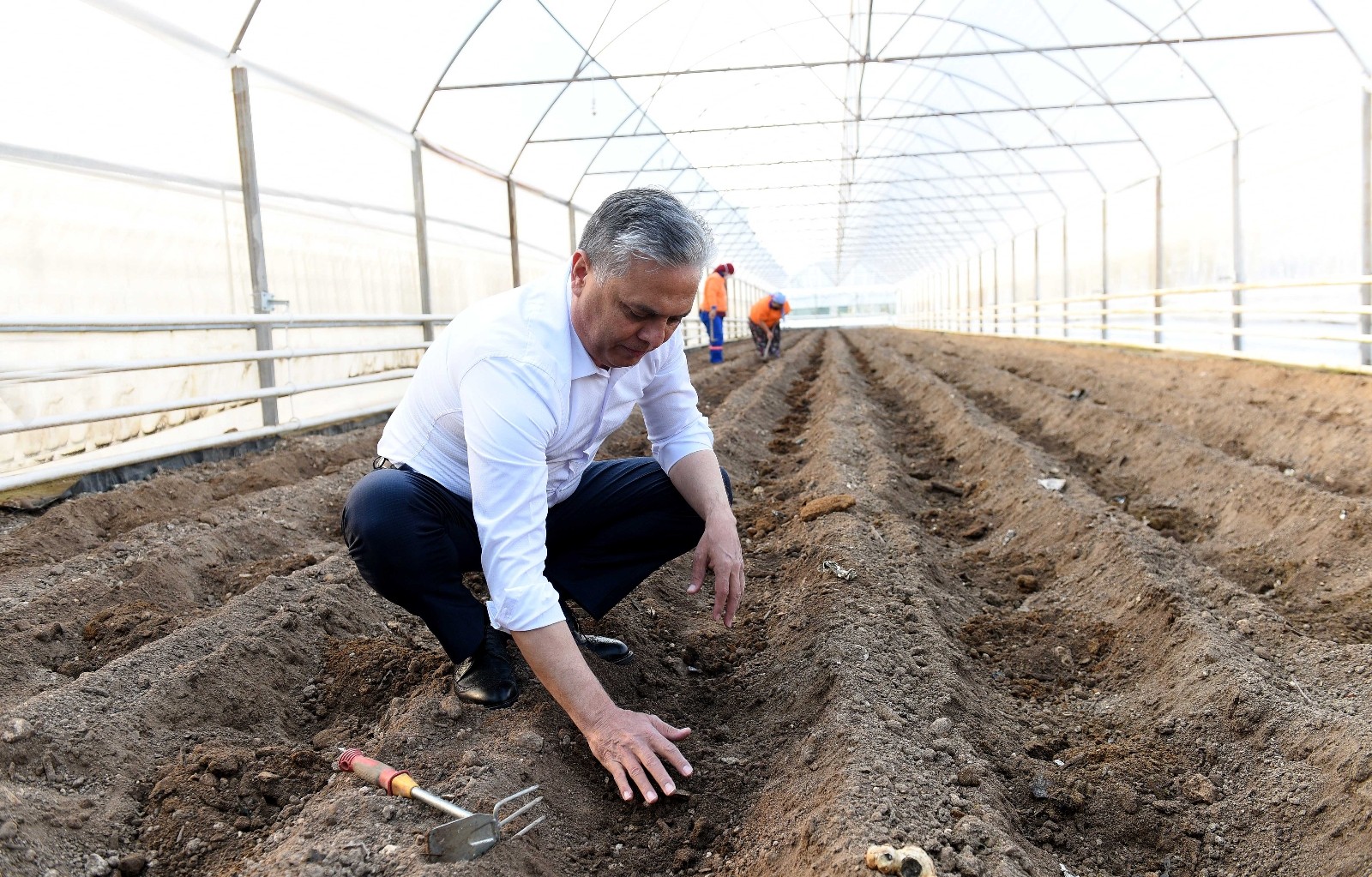Şifa kaynağı zencefil Muratpaşa’da üretiliyor
