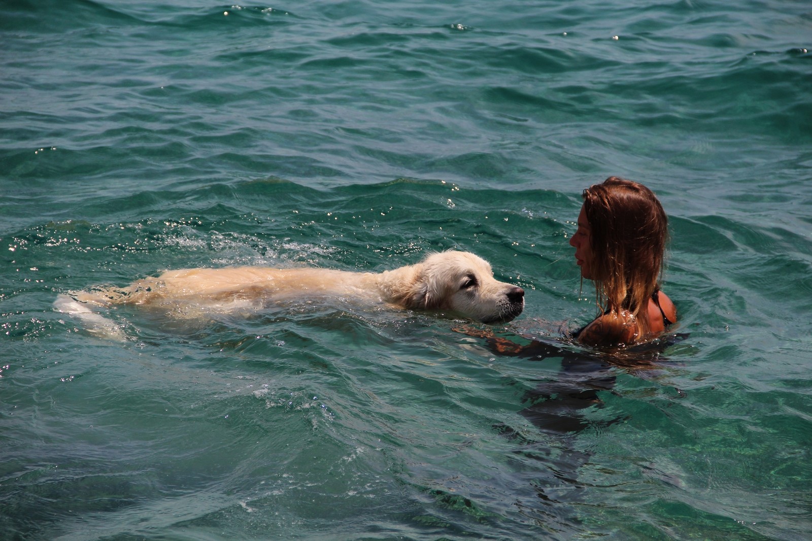 Rus turist, 9 bin kilometrelik yoldan getirdiği köpeğiyle Antalya’da deniz keyfi yaptı