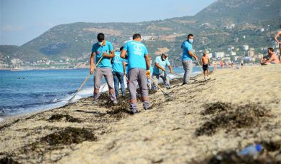 Alanya Belediyesi’nden sahilde yosun temizliği