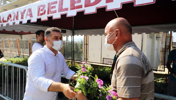 Alanya Belediyesi ücretsiz 61 bin çiçek dağıtacak