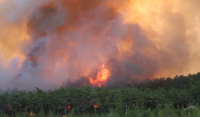 Manavgat’ta orman yangını devam ediyor