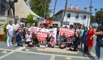 Alanya Hayvan Hakları Hareketi üyelerinden protesto