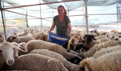 Alanya’da kurban pazarının ‘Hanım Ağası’ hayvanlarına alıcı bekliyor