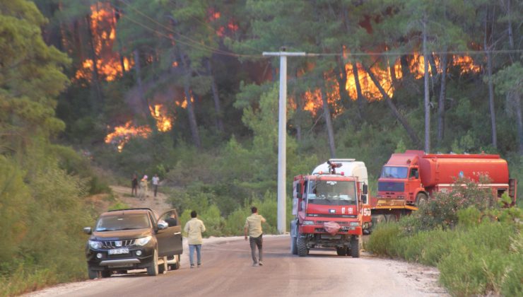 İşte Alanya’da yangından sonra ortaya çıkan şok görüntüler I VİDEO HABER