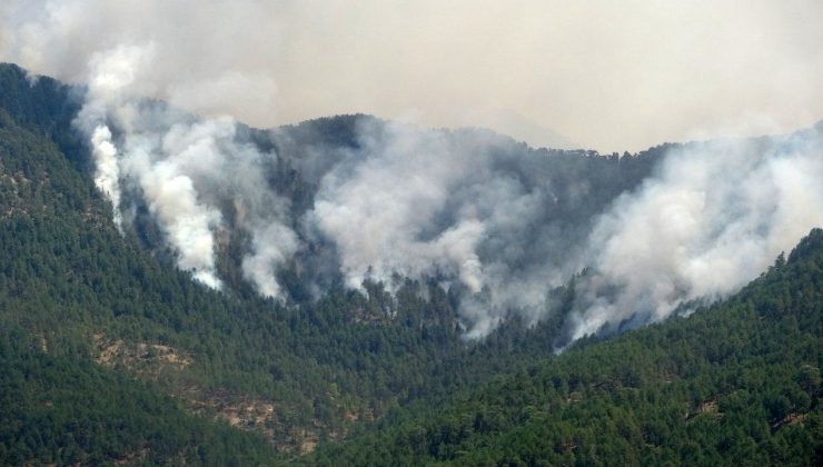 Manavgat’taki yangını 12 yaşındaki çocuk çıkarmış