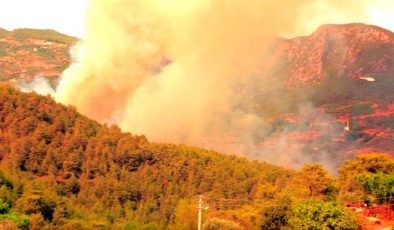 Alanya, Gündoğmuş, Akseki ve İbradı’daki orman yangınlarına müdahale sürüyor
