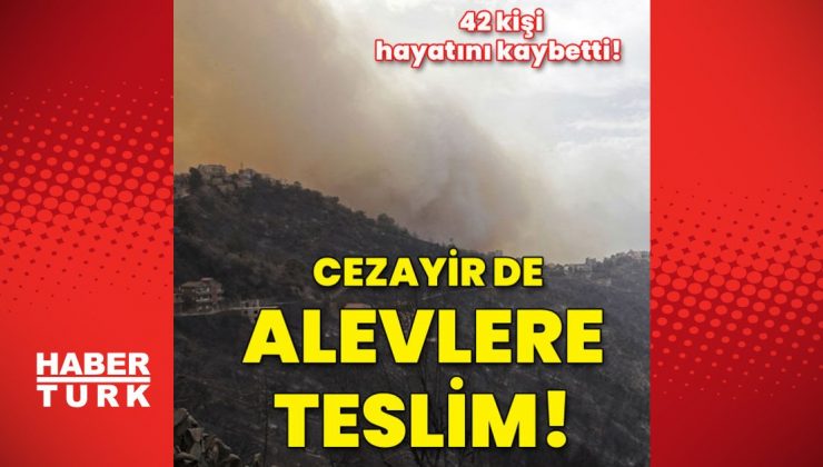 Cezayir’de orman yangınları: 42 ölü!