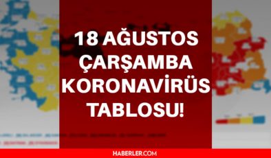 Son Dakika… Bugünkü koronavirüs tablosu! 18 Ağustos koronavirüs tablosu belli oldu mu? Türkiye’de bugün kaç kişi öldü? 18 Ağustos korona tablosu!