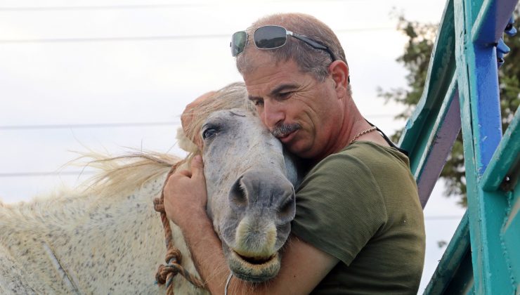 Atı çalınan eşinin üzüntüsüne dayanamayan emekli polis muhbirle atı buldu