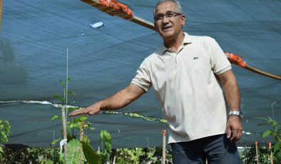 Emekli okul müdüründen tropikal meyve bahçesi
