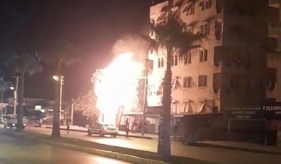 Alev alev yanan palmiye ağacı mahalleliyi korkuttu