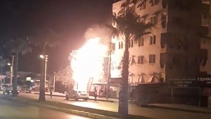 Alev alev yanan palmiye ağacı mahalleliyi korkuttu