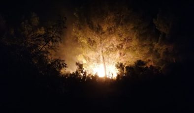 Korkutan orman yangınında 3 dönümlük arazi zarar gördü