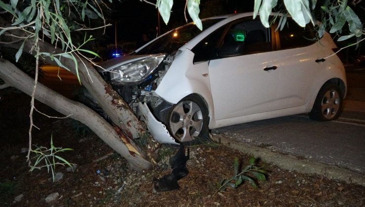 Virajı alamayan otomobil ağaca çarptı