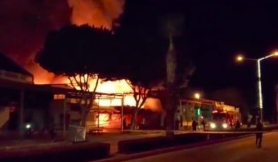 Turizm merkezinde iki mağaza yangında küle döndü I VİDEO HABER
