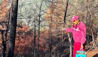 Gazipaşa’da yangından etkilenen ormanlık alanlar yeniden yeşertiliyor