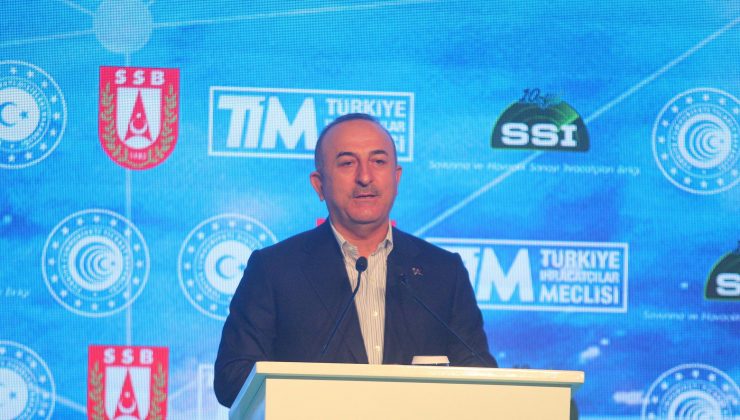 ‘Türk SİHA’larının ilk kez NATO ve AB üyesi ülkenin envanterine girmesi önemli’