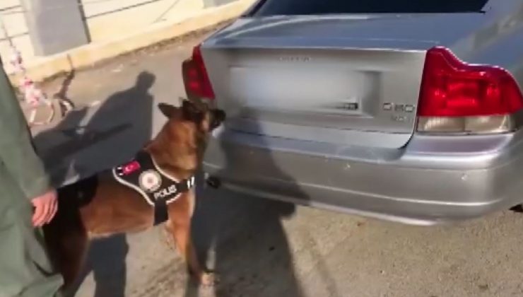 LPG tankına gizlenen uyuşturucuyu köpek buldu I VİDEO HABER