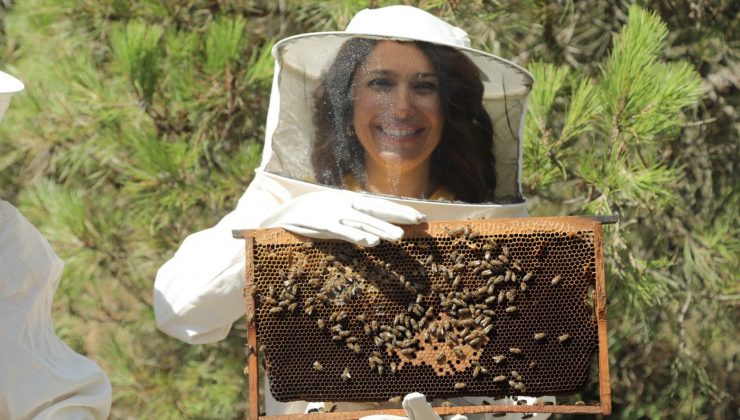 Arıcılara teorik ve uygulamalı arıcılık ile bal arısı zehri üretimi eğitimi