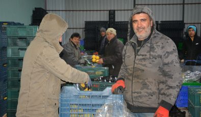 Romanya, Makedonya, Ukrayna’ya ayva ve karyağdı armudu ihracatı