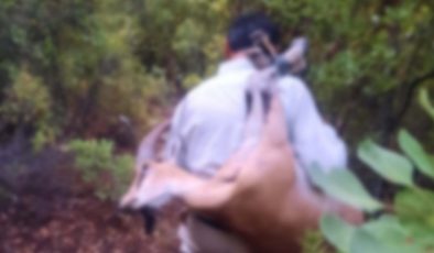 Kaçak yaban keçisi avına 420 bin TL ceza