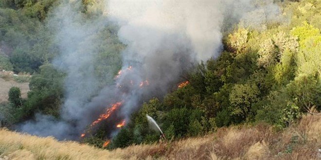 Alanya’da yangınlarda zarar gören çiftçilere tarımsal zarar ödemeleri yatırıldı