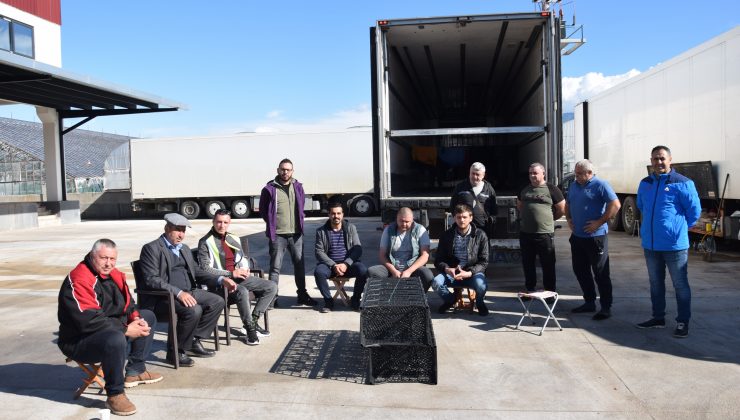 Ülkelerine sebze taşımak için Antalya’ya gelen 16 Ukraynalı şoför mahsur kaldı