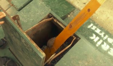 Yeraltı çöp konteynerinde mahsur kalan fare için seferber oldular