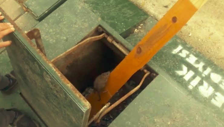 Yeraltı çöp konteynerinde mahsur kalan fare için seferber oldular
