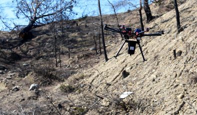 Yangın bölgelerine drone ile 15 kilogram tohum atıldı