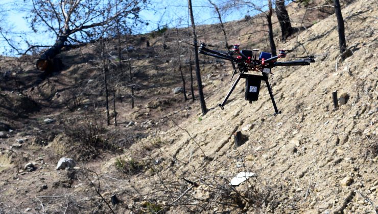 Yangın bölgelerine drone ile 15 kilogram tohum atıldı