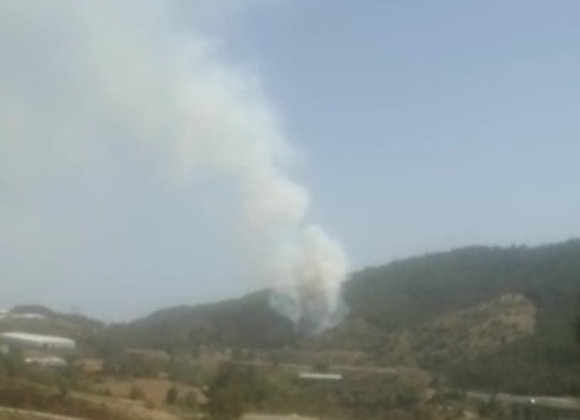 Alanya’da ormanlık alanda yangın çıktı!