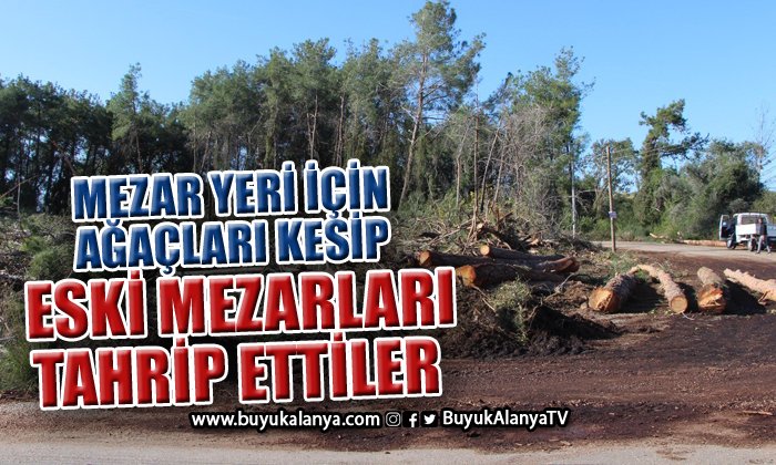 Yeni mezar yeri açmak için ağaçları kesip eski mezarları tahrip ettiler