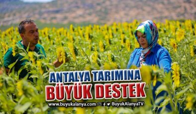 Antalya tarımına geçen yıl 143 milyon liralık destek sağlandı