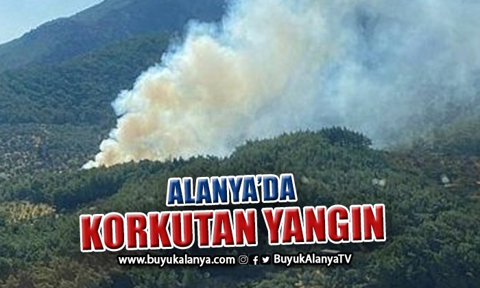 Alanya’da korkutan orman yangını
