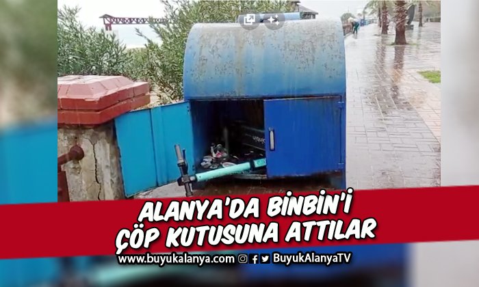 Alanya’da BinBin’i çöp kutusuna attılar