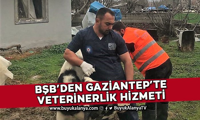 Antalya Büyükşehir Belediyesi’nden Gaziantep’te veterinerlik hizmeti