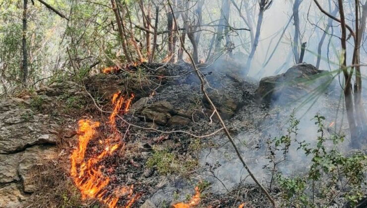 Gazipaşa’da sezonun ilk orman yangını korkuttu