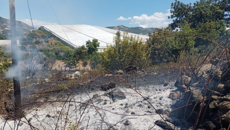 Alanya’da bahçe yangınında meyve ağaçları ve sulama sistemi zarar gördü