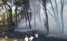 Jandarmanın dron kontrolü orman yangınının büyümesini ÖNLEDİ