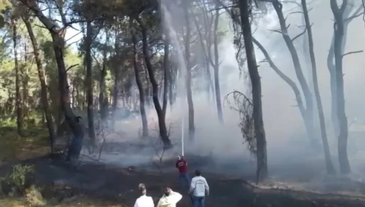 Jandarmanın dron kontrolü orman yangınının büyümesini ÖNLEDİ