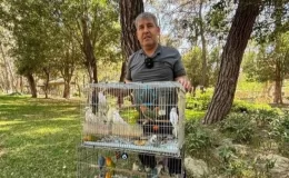 Papağan operasyonu: 41 papağan ele GEÇİRİLDİ