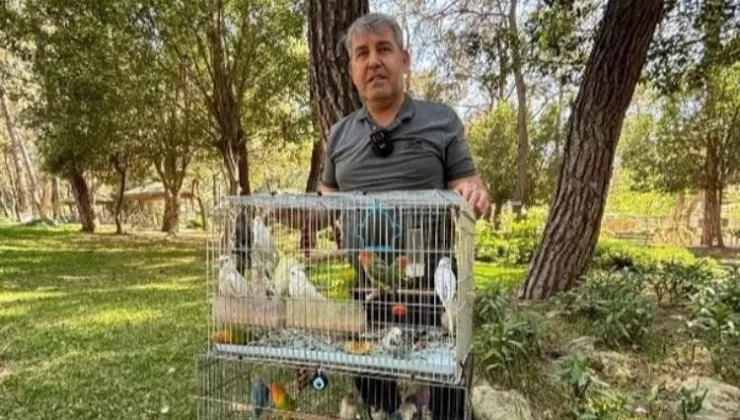 Papağan operasyonu: 41 papağan ele GEÇİRİLDİ